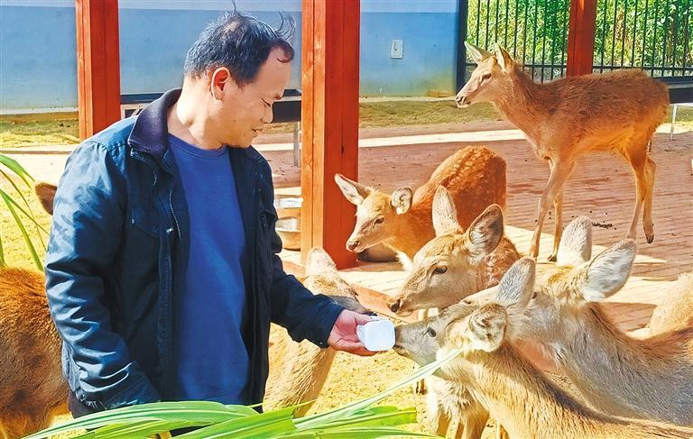 发展产业调研】林下生金mg不朽情缘【高质量(图2)